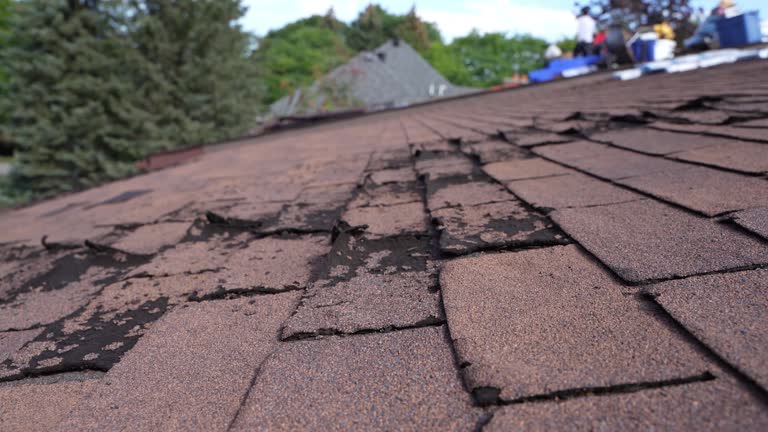 Asphalt Shingles Roofing in Gloucester Courthouse, VA